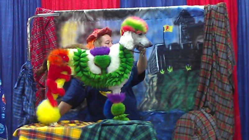 Scottish Rampart Lion