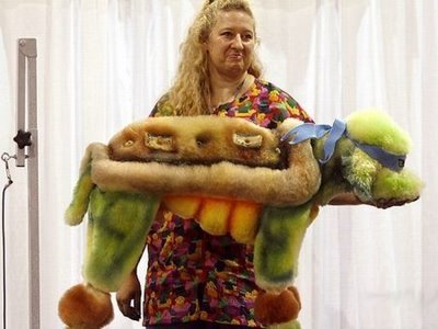 Teenage Ninja Turtle